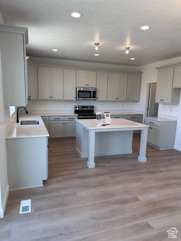 Kitchen with gray cabinetry, a center island, sink, and stainless steel appliances