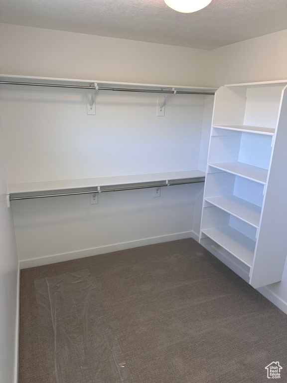 Spacious closet with dark carpet