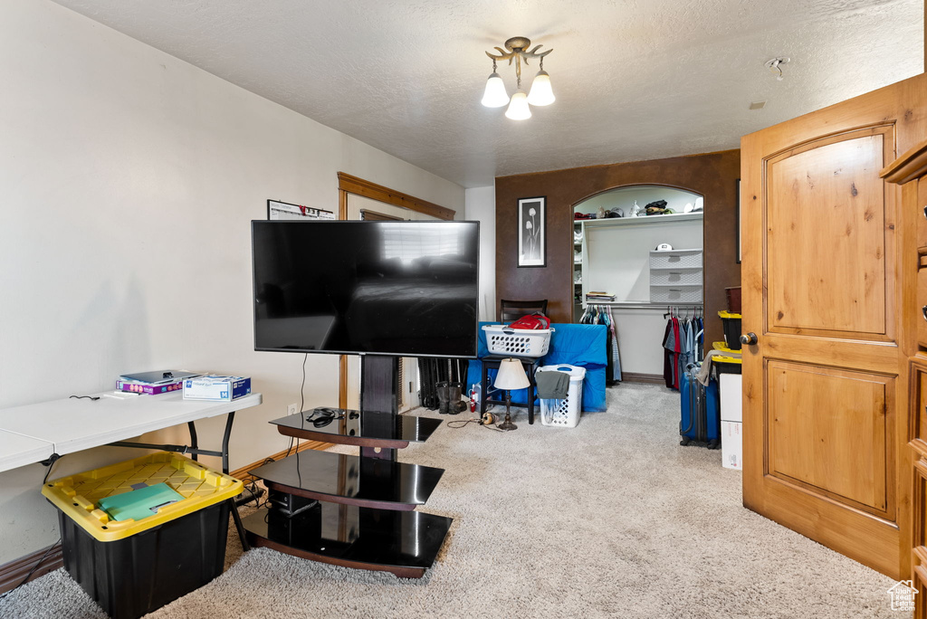 Recreation room with a textured ceiling and carpet floors