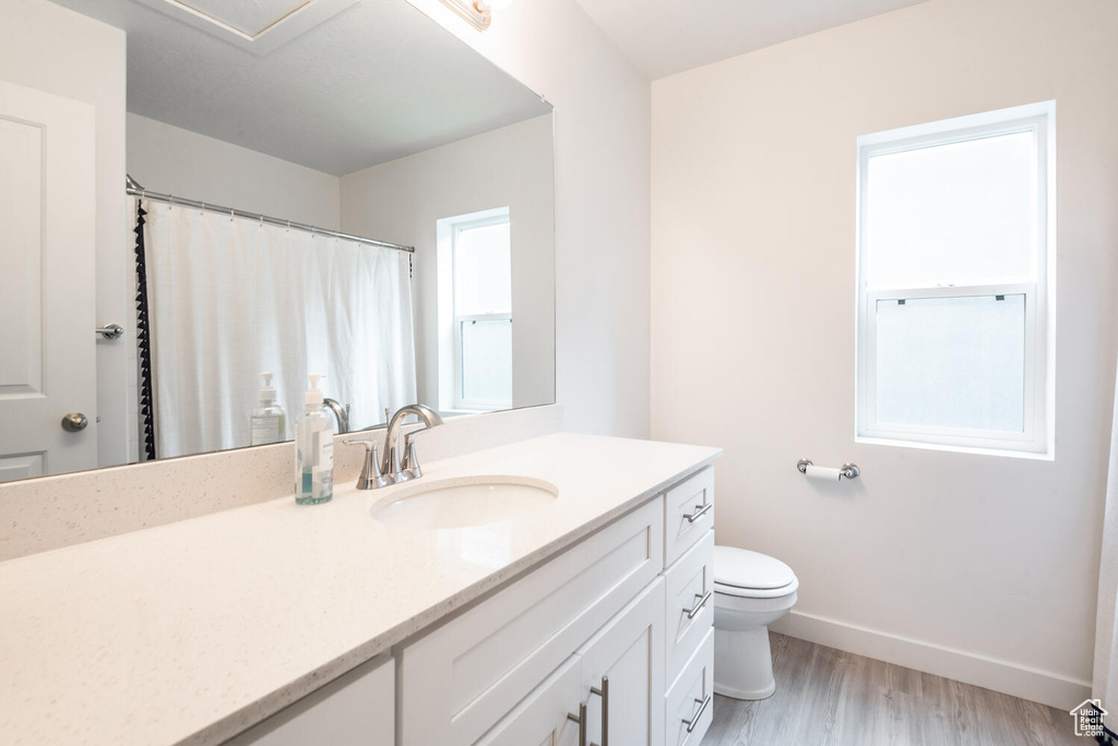 Bathroom featuring vanity, toilet, and hardwood / wood-style floors