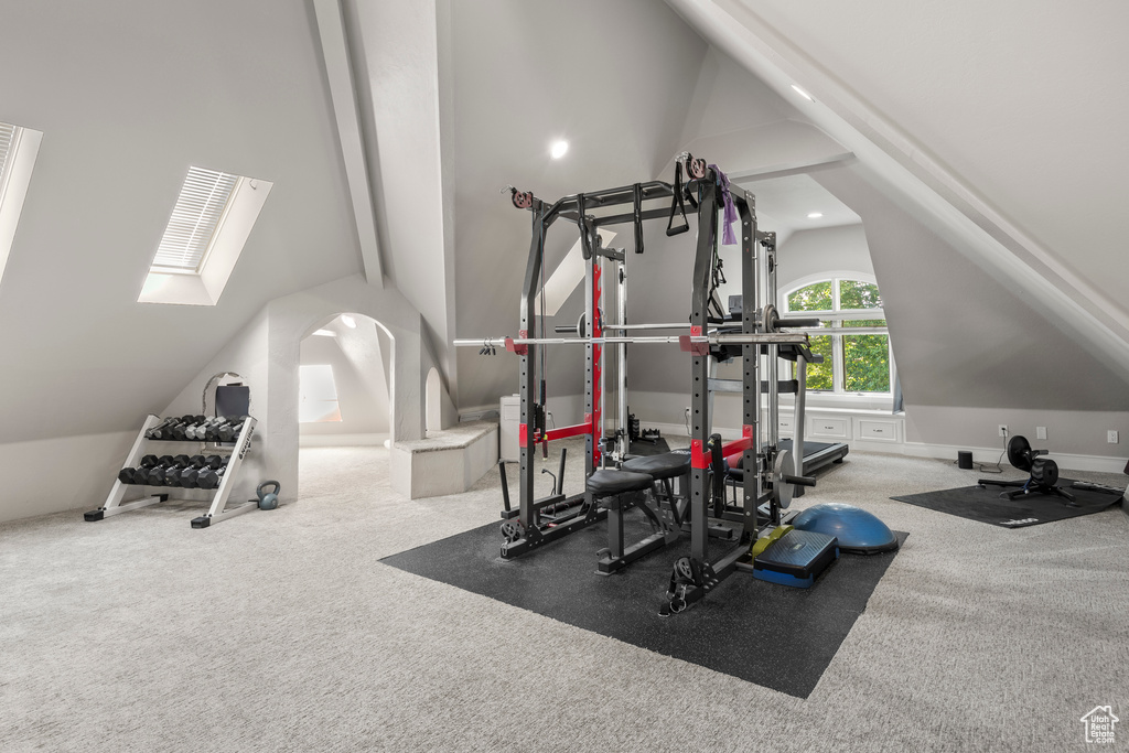 Exercise room featuring vaulted ceiling with skylight and carpet flooring