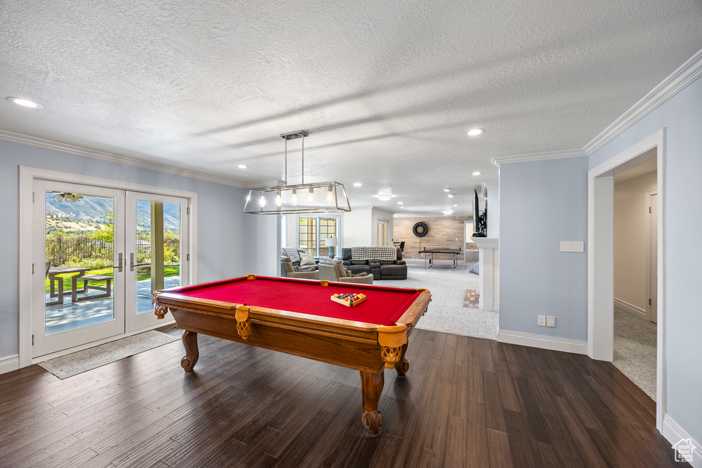 Rec room with ornamental molding, french doors, and pool table