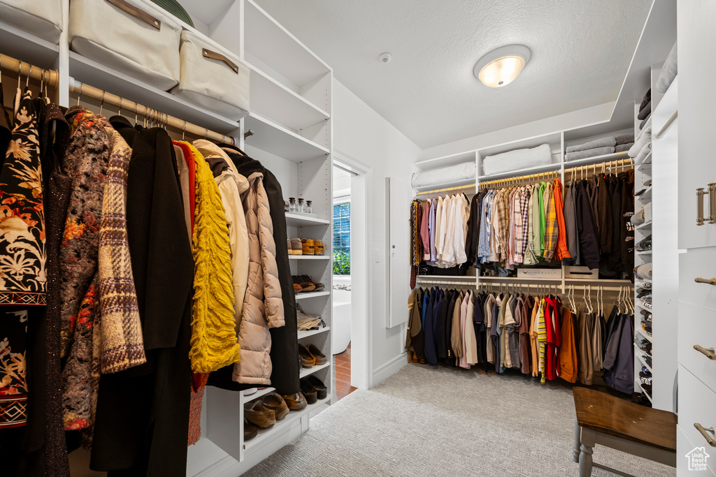 Spacious closet featuring carpet