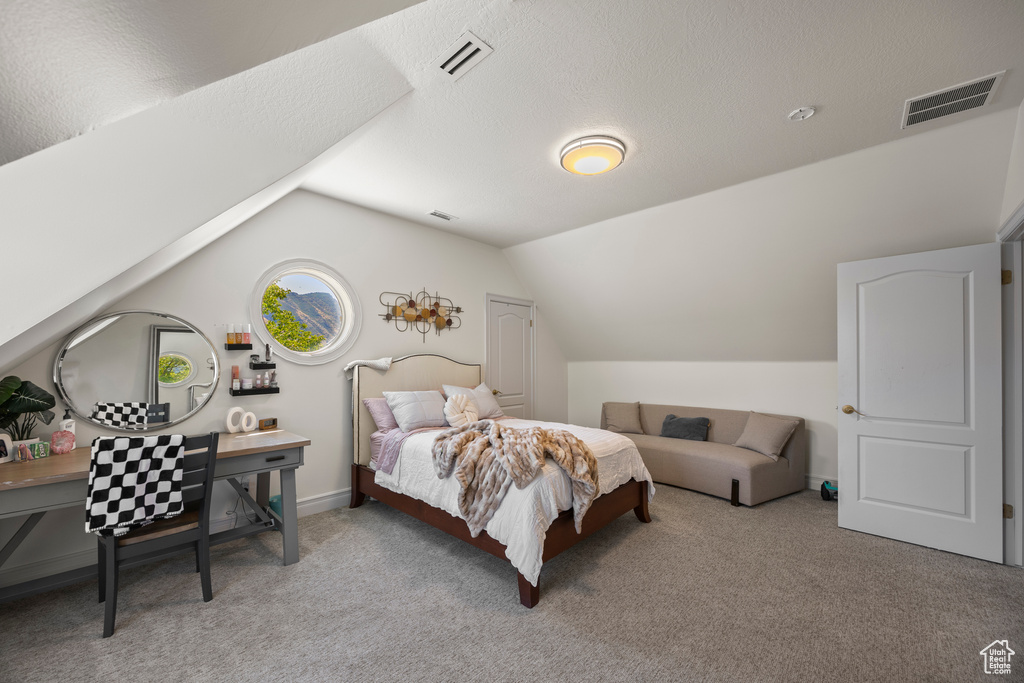 Carpeted bedroom featuring lofted ceiling and a textured ceiling