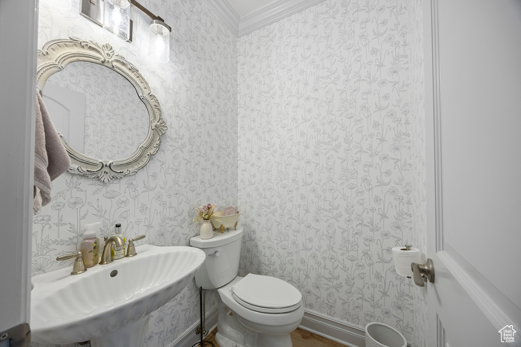 Bathroom featuring crown molding, toilet, hardwood / wood-style floors, and sink