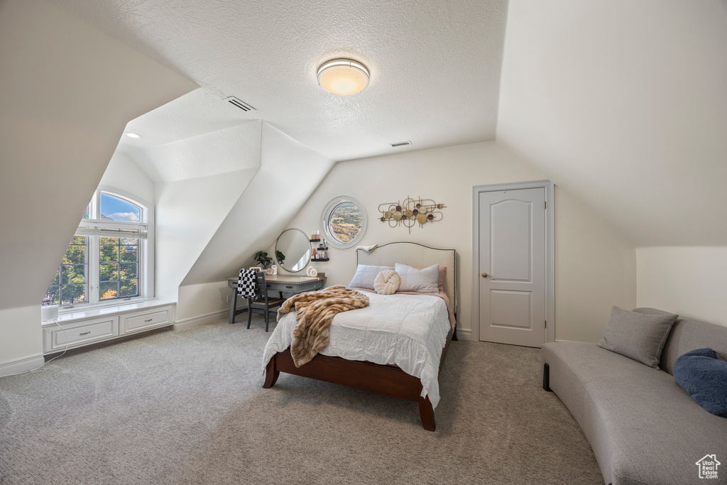 Carpeted bedroom with a textured ceiling and vaulted ceiling