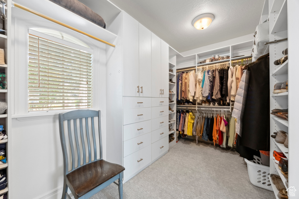 Spacious closet featuring light carpet