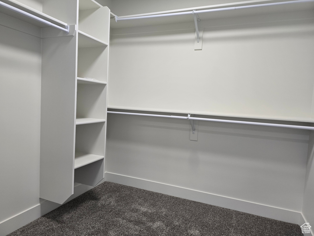 Spacious closet featuring dark colored carpet