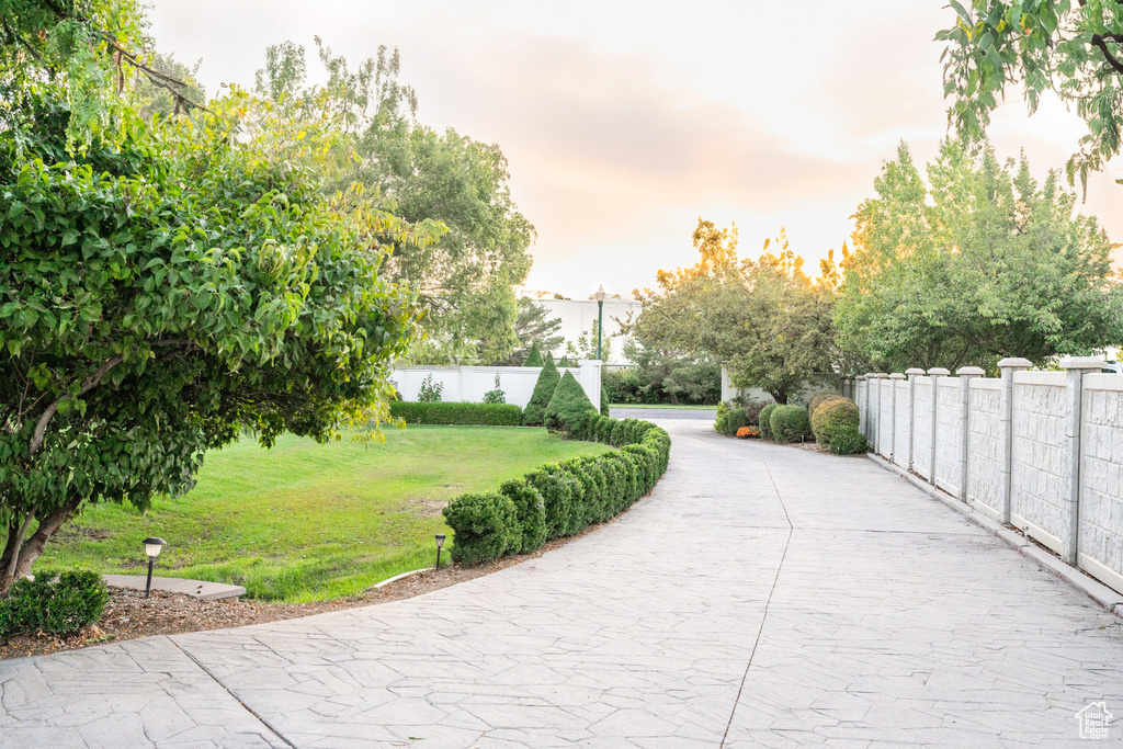 View of community with a yard