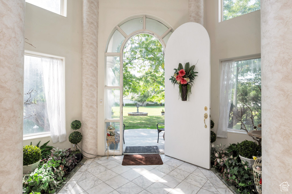 Foyer featuring a wealth of natural light