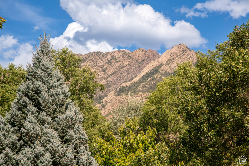 View of mountain backdrop