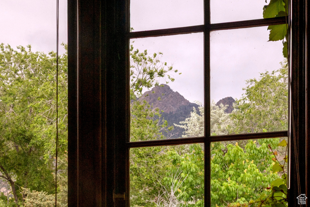 Detailed view of a mountain backdrop