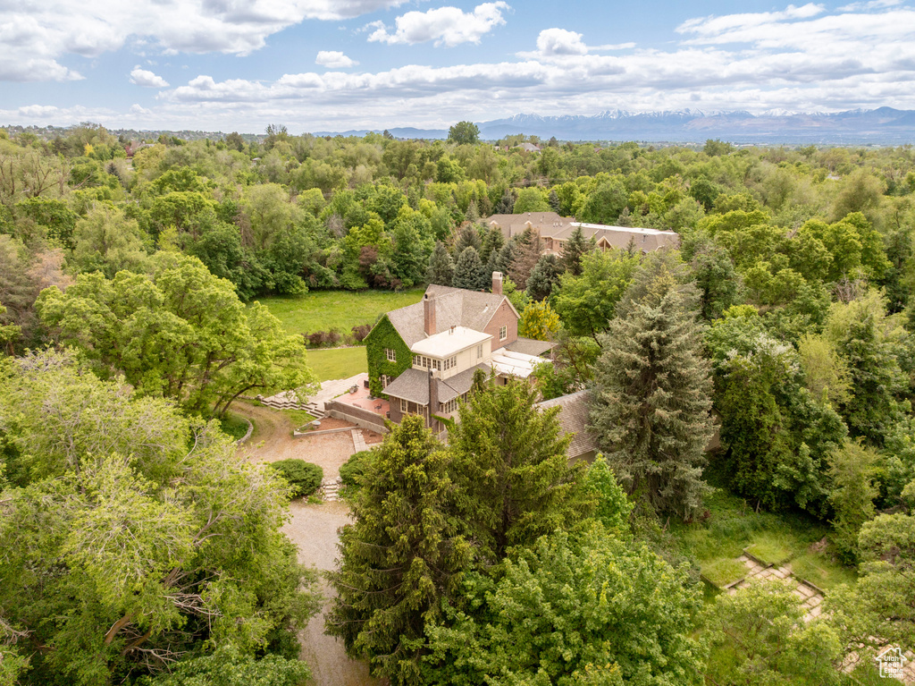 View of subject property featuring a forest