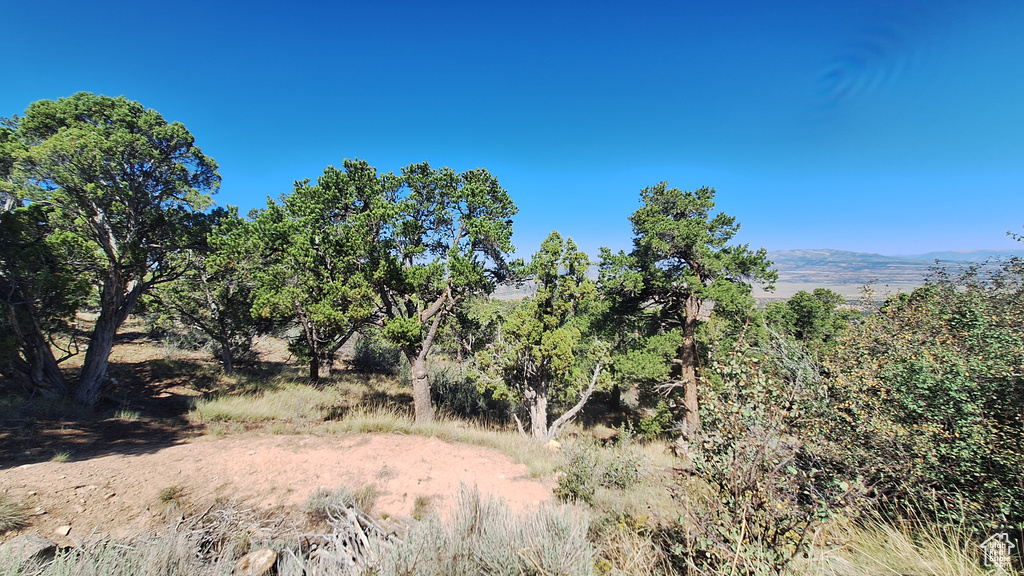 View of nature