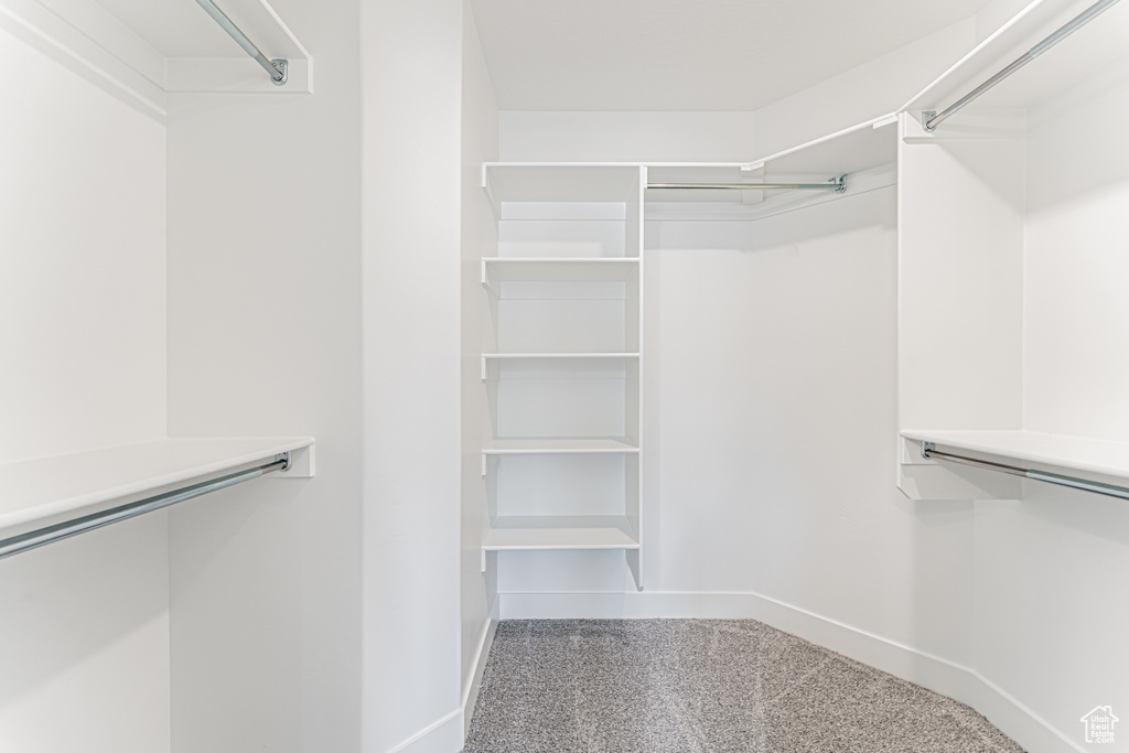Spacious closet with carpet floors