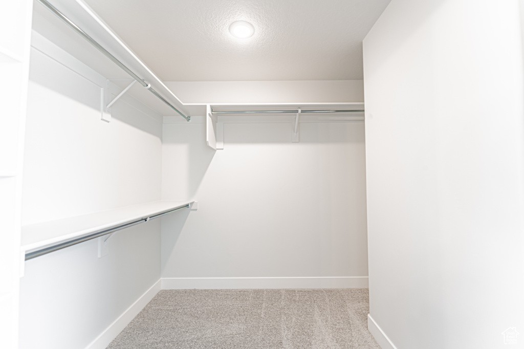 Spacious closet featuring carpet floors
