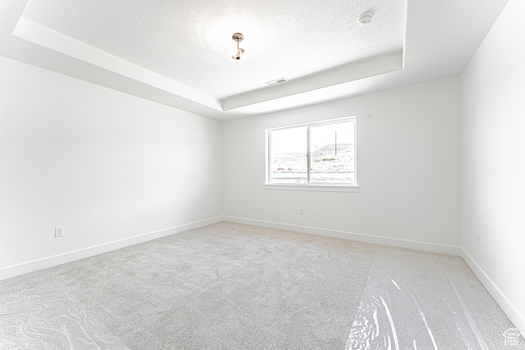 Spare room with a tray ceiling, a textured ceiling, light carpet, and baseboards