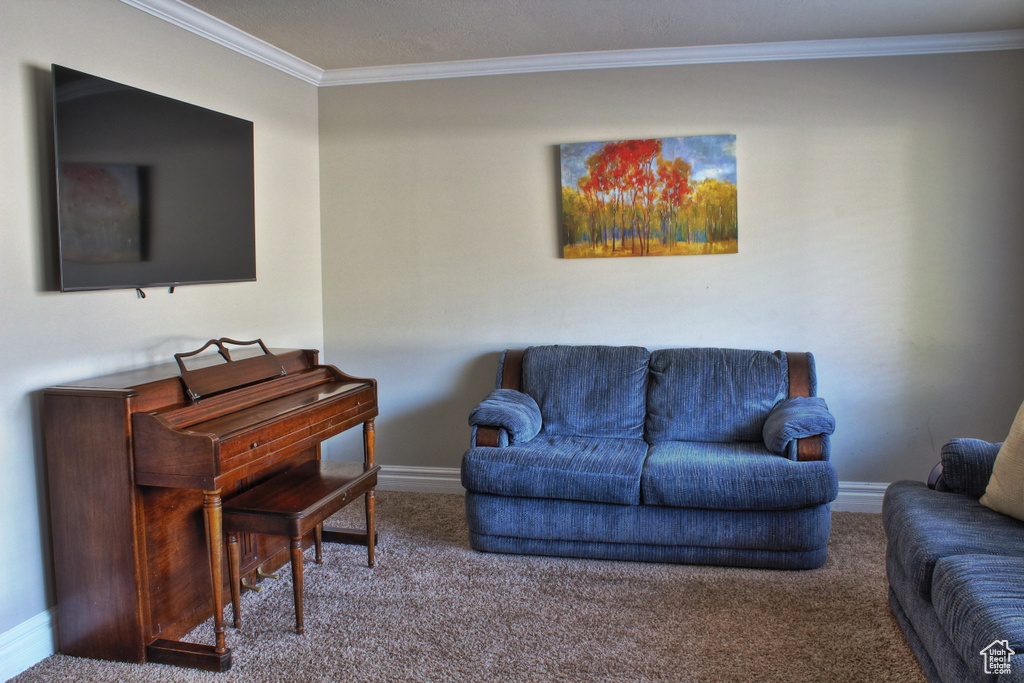 Carpeted living room featuring crown molding