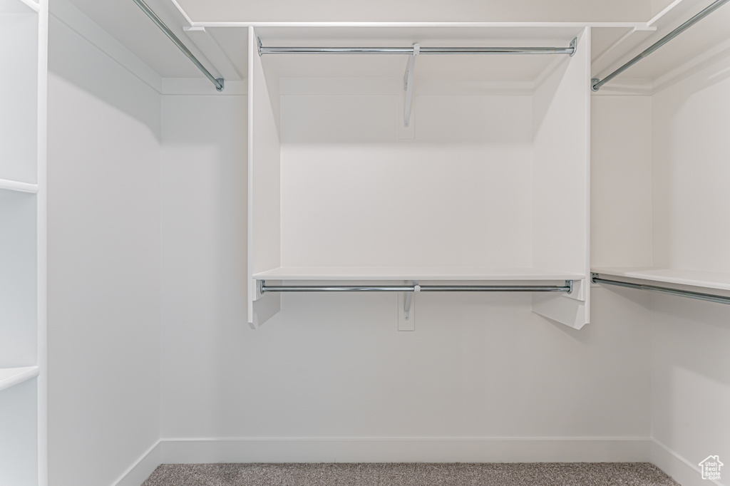 Walk in closet featuring carpet