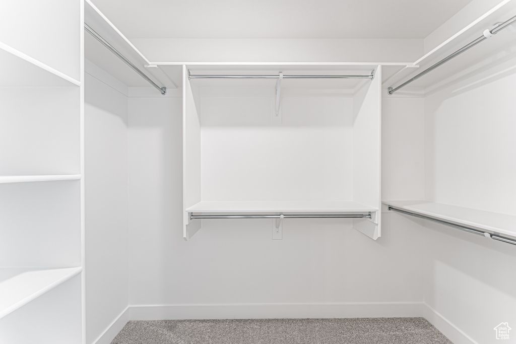 Spacious closet with light carpet