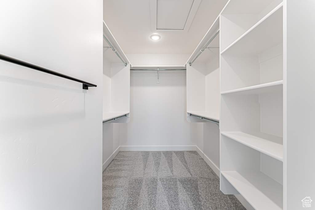Walk in closet with carpet