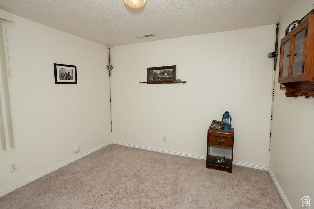 Unfurnished room featuring a textured ceiling and light colored carpet