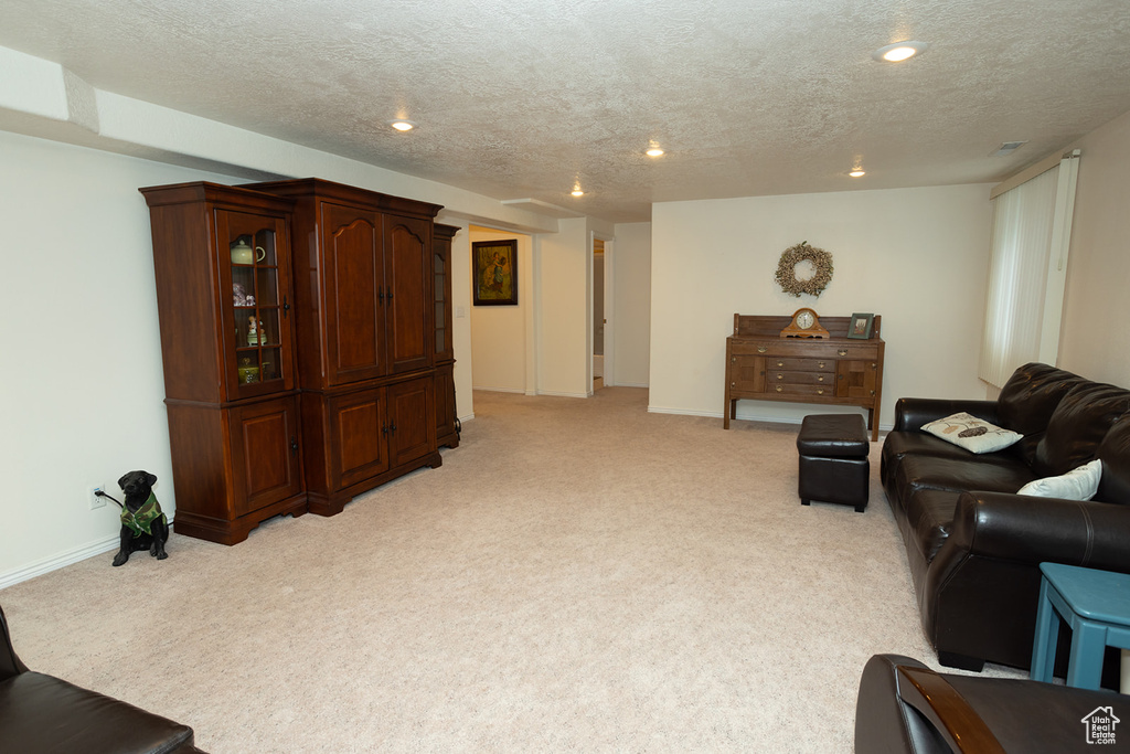 Living room featuring light colored carpet and a textured ceiling