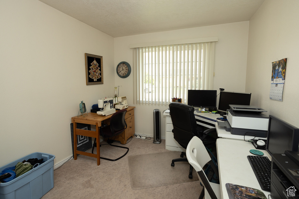 Carpeted office space featuring a textured ceiling