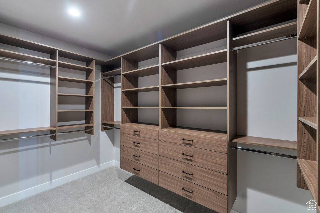 Spacious closet featuring light colored carpet