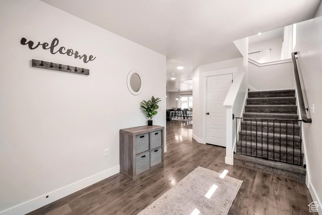 Interior space with dark hardwood / wood-style flooring