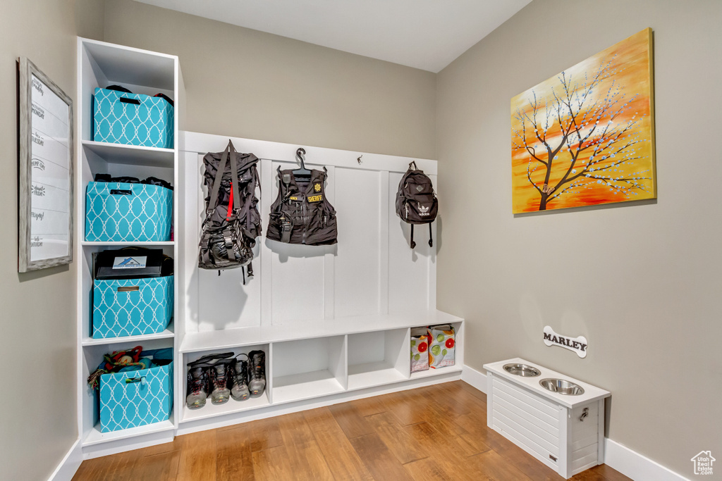 Mudroom featuring hardwood / wood-style flooring