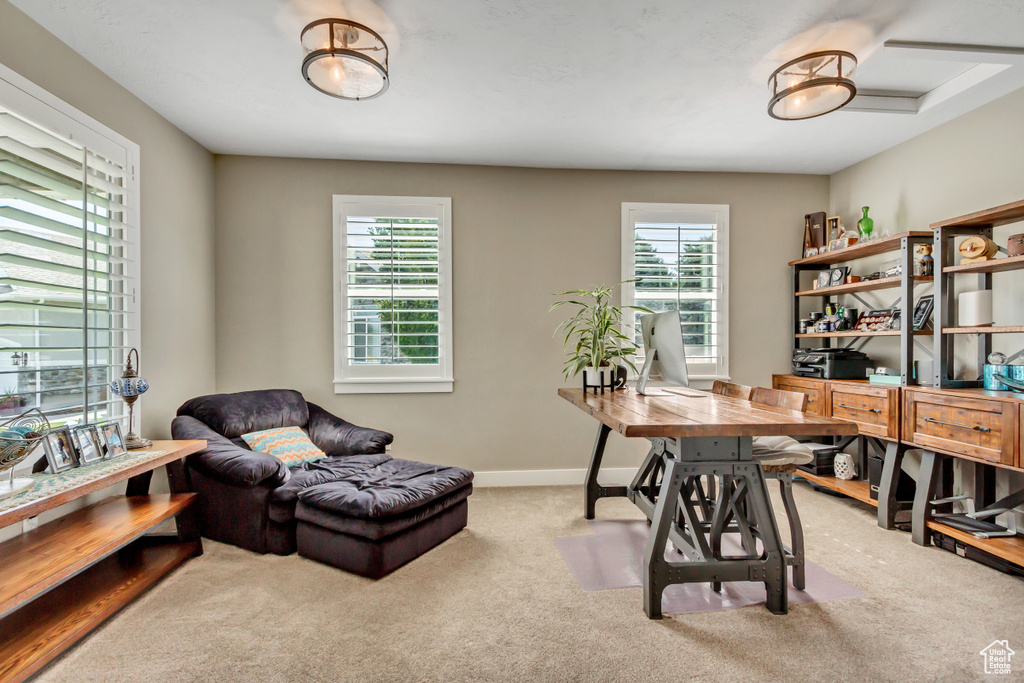 Carpeted office with plenty of natural light