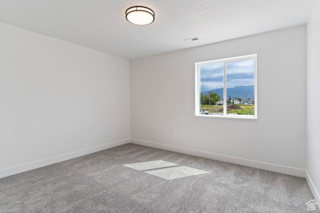 Carpeted spare room with a mountain view and a textured ceiling