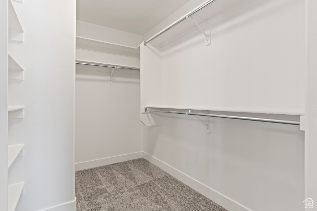 Spacious closet featuring light colored carpet