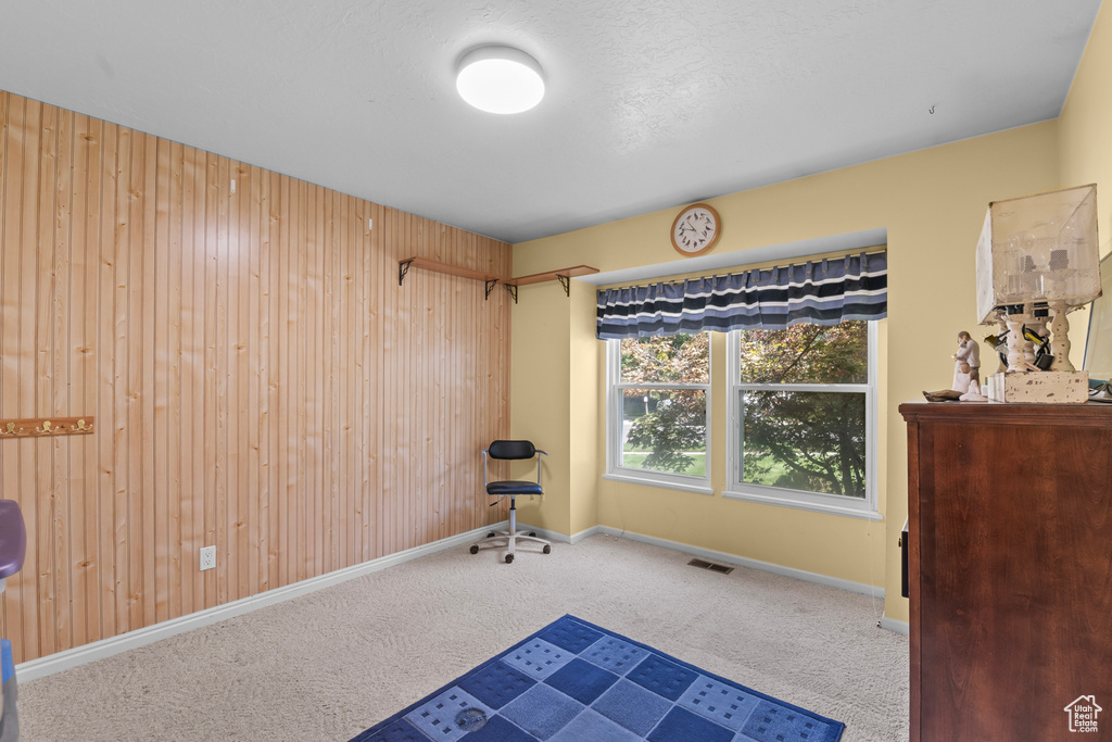 Interior space featuring carpet and wooden walls