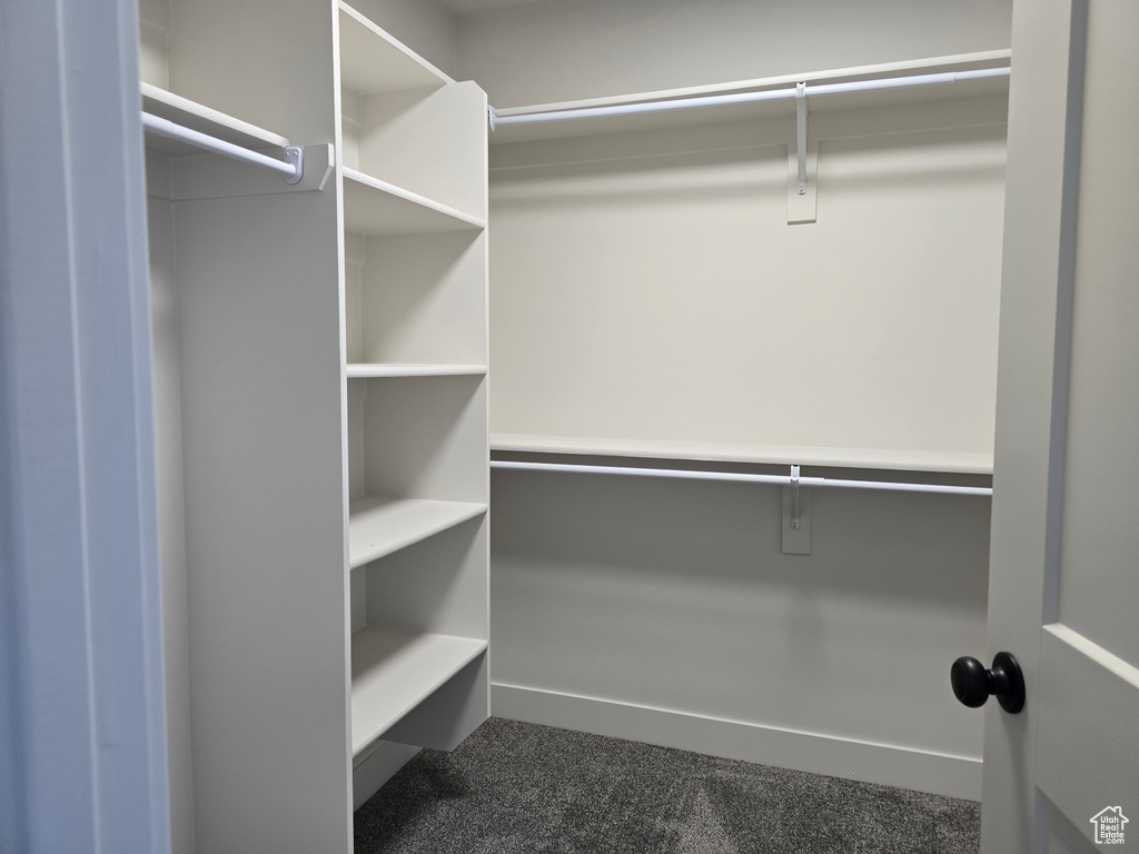 Spacious closet with dark carpet