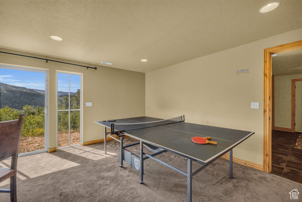 Playroom with a mountain view, a textured ceiling, and carpet floors