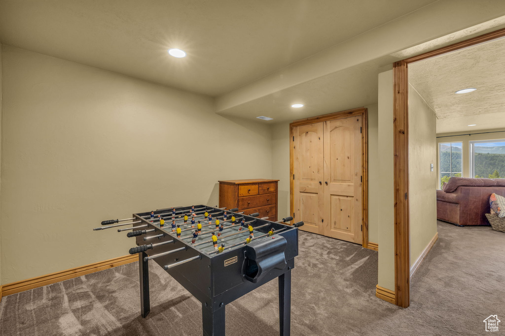 Rec room with carpet