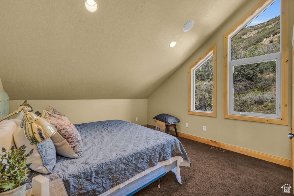 Carpeted bedroom with lofted ceiling and a textured ceiling