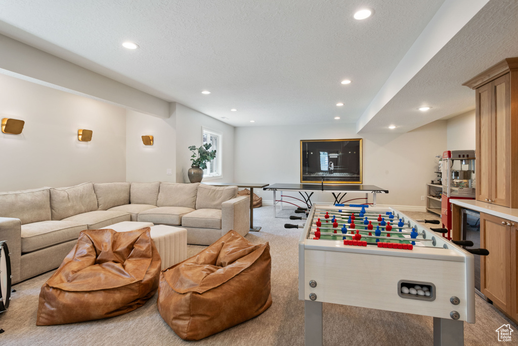 Carpeted living room with a textured ceiling