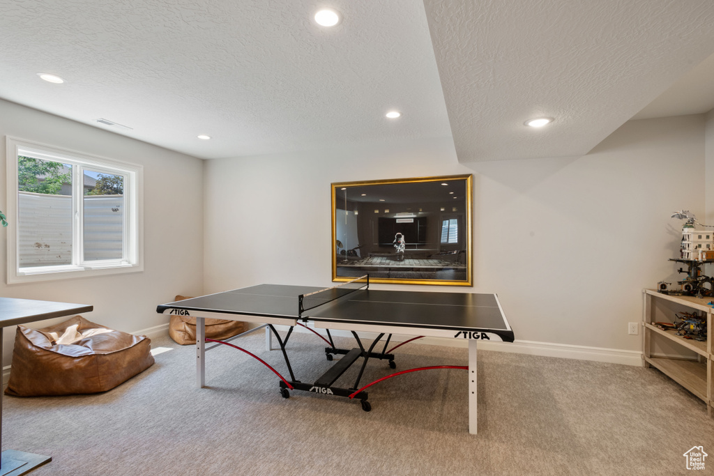 Recreation room with a textured ceiling and carpet