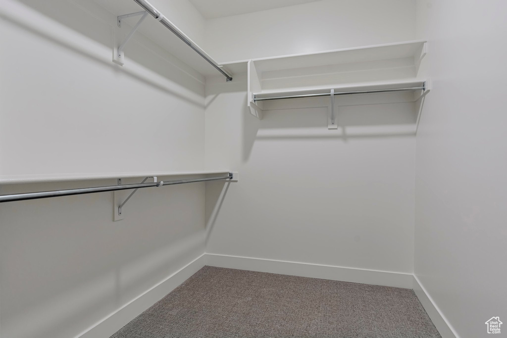 Walk in closet featuring carpet floors