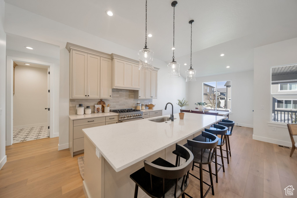 Kitchen with an island with sink, sink, and light wood-type flooring