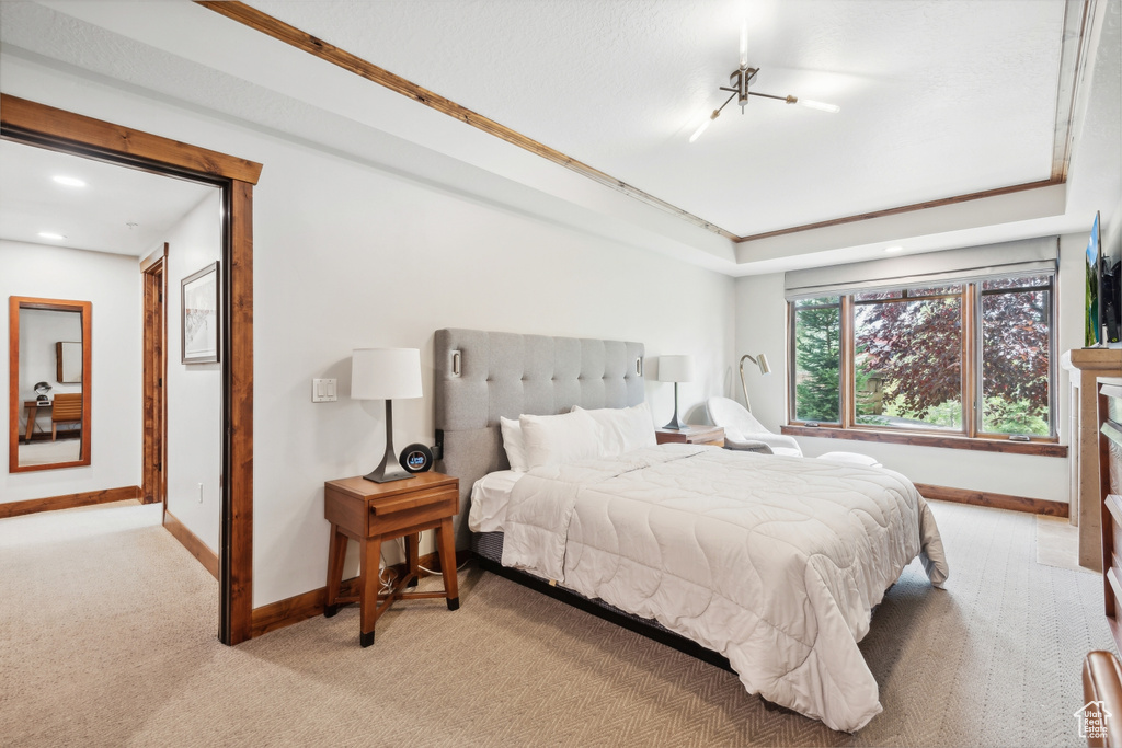 Carpeted bedroom with a tray ceiling