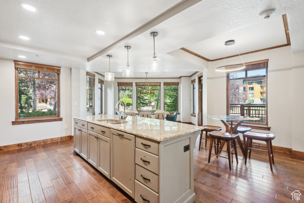 Kitchen with an island with sink, a healthy amount of sunlight, sink, and light stone countertops