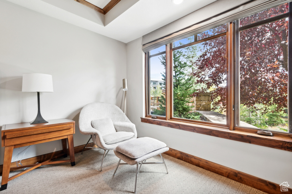 Living area with carpet flooring, a wealth of natural light, and crown molding