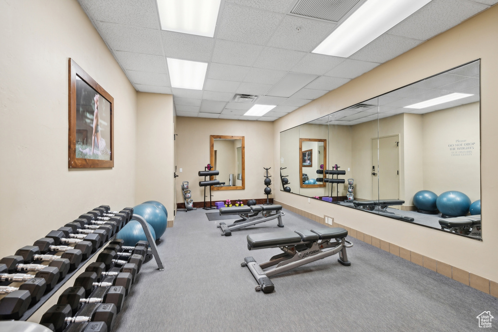 Interior space with carpet and a drop ceiling