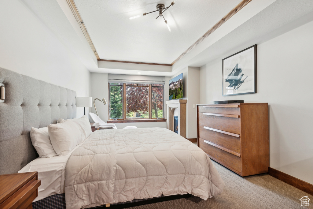 Carpeted bedroom featuring a raised ceiling