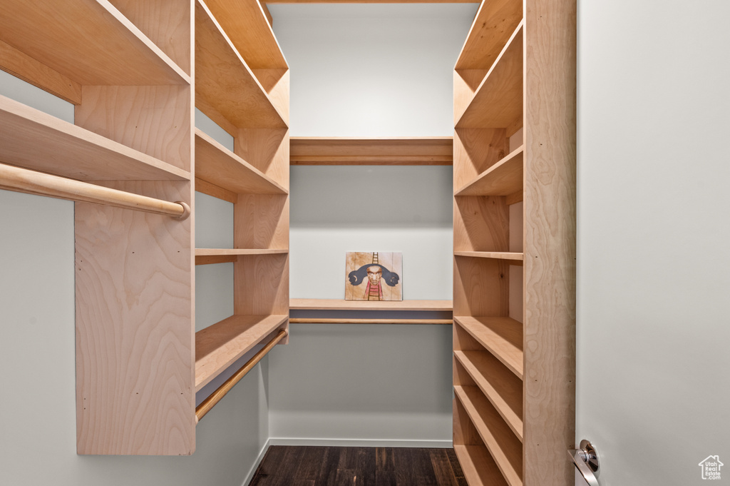 Walk in closet with dark hardwood / wood-style flooring