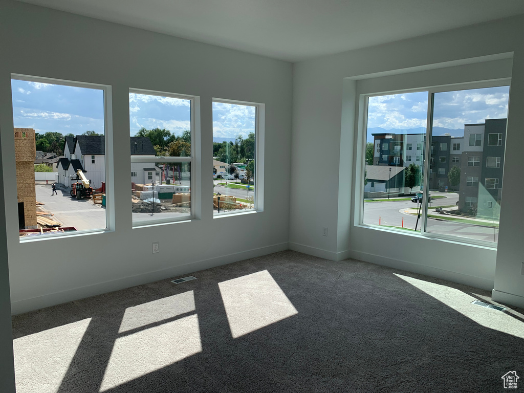 Carpeted empty room featuring a healthy amount of sunlight